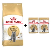 Royal Canin British Shorthair Yetişkin Kedi Maması 2 kg + 2 Adet Yaş Mama Hediye - 1