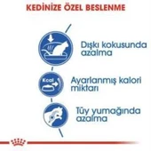 Royal Canin İndoor 27 Kuru Kedi Maması 2 Kg + 2 Adet Yaş Mama Hediye thumbnail 4