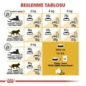 Royal Canin Sphynx Yetişkin Kedi Maması 2 kg + 2 Adet Yaş Mama Hediye thumbnail 6