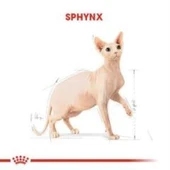 Royal Canin Sphynx Yetişkin Kedi Maması 2 kg + 2 Adet Yaş Mama Hediye thumbnail 3