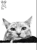 Fotoğraftan Karakalem Çizim Kişiye Özel İkea Çerçeveli 13 cm x 18 cm (KEDİ KÖPEK KİŞİ) - 5