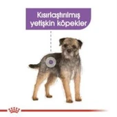 Royal Canin Mini Sterilised Kısır Köpek Maması 3 Kg + 2 Adet Yaş Mama Hediye - 5