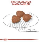 Royal Canin Mini Puppy Yavru Köpek Maması 4 kg + 2 Adet Yaş Mama Hediye - 3