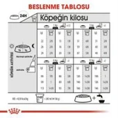 Royal Canin Mini Exigent Köpek Maması 3 Kg + 2 Adet Yaş Mama Hediye thumbnail 6