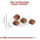 Royal Canin Mother BabyCat  Yavru Kuru Kedi Maması 4 Kg + 1 Adet Yaş Mama Hediye thumbnail 3