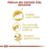 Royal Canin Persian Yetişkin Kedi Maması 4 kg + 2 Adet Yaş Mama Hediye - 5