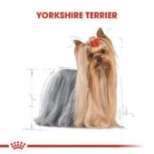 Royal Canin Yorkshire Terrier Köpek Maması 1,5 kg + 2 Adet Yaş Mama Hediye - 7