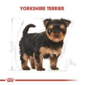 Royal Canin Yorkshire Terrier  Yavru köpek Maması 1,5 kg + 2 Adet Yaş Mama Hediye - 3