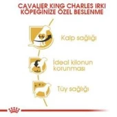 Royal Canin Cavalier King Charles  Yetişkin Köpek Maması 3 kg + 2 Adet Yaş Mama Hediye - 4