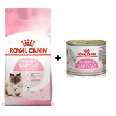 Royal Canin Mother BabyCat  Yavru Kuru Kedi Maması 4 Kg + 1 Adet Yaş Mama Hediye thumbnail 1