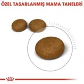 Royal Canin Hair Skin  Kedi  Maması 2 Kg + 2 Adet Yaş Mama Hediye thumbnail 3