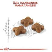 Royal Canin Kitten Yavru Kuru Kedi Maması 4 Kg + 2 Adet Yaş Mama Hediye thumbnail 3