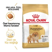 Royal Canin Pomeranian Yetişkin Köpek Maması 1,5 Kg + 2 Adet Yaş Mama Hediye - 2