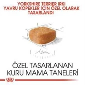Royal Canin Yorkshire Terrier  Yavru köpek Maması 1,5 kg + 2 Adet Yaş Mama Hediye - 4