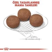 Royal Canin Orta Irk Yavru Kuru Köpek Maması 4 kg + 2 Adet Yaş Mama Hediye - 3