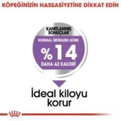 Royal Canin Mini Sterilised Kısır Köpek Maması 3 Kg + 2 Adet Yaş Mama Hediye - 4