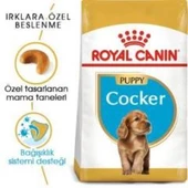 Royal Canin Cocker Junior Yavru Köpek Maması 3 kg + 2 Adet Yaş Mama Hediye - 2