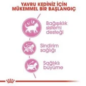 Royal Canin Kitten Yavru Kuru Kedi Maması 2 Kg + 2 Adet Yaş Mama Hediye - 5