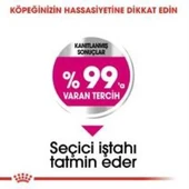 Royal Canin Mini Exigent Köpek Maması 3 Kg + 2 Adet Yaş Mama Hediye thumbnail 4