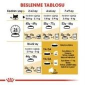 Royal Canin Kitten Persian Yavru Kedi Maması 2 kg + 2 Adet Yaş Mama Hediye thumbnail 7