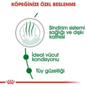 Royal Canin Mini İndoor Adult Köpek Maması 1,5 kg + 2 Adet Yaş Mama Hediye thumbnail 4