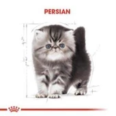 Royal Canin Kitten Persian Yavru Kedi Maması 2 kg + 2 Adet Yaş Mama Hediye thumbnail 4