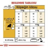 Royal Canin Cavalier King Charles  Yetişkin Köpek Maması 3 kg + 2 Adet Yaş Mama Hediye - 6