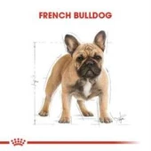 Royal Canin French Bulldog Yetişkin Köpek Maması 3 kg + 2 Adet Yaş Mama Hediye - 4