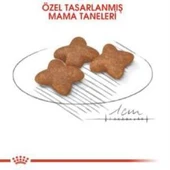 Royal Canin Mini Adult Köpek Maması 4 kg + 2 Adet Yaş Mama Hediye - 3
