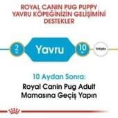 Royal Canin Pug Junior Yavru Köpek Maması 1,5 kg + 2 Adet Yaş Mama Hediye - 6