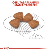 Royal Canin X Small Yavru Köpek Maması 1,5 kg + 2 Adet Yaş Mama Hediye - 4