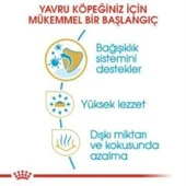Royal Canin Chihuahua Junior Yavru Köpek Maması 1,5 kg + 2 Adet Yaş Mama Hediye - 4