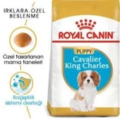 Royal Canin Cavalier King Charles Yavru köpek Maması 1,5 kg + 2 Adet Yaş Mama Hediye - 2