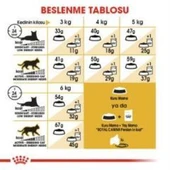 Royal Canin Persian Yetişkin Kedi Maması 2 kg + 2 Adet Yaş Mama Hediye - 6