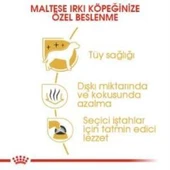 Royal Canin Maltese Bichon Yetişkin Köpek Maması 1,5 kg + 2 Adet Yaş Mama Hediye - 6