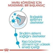 Royal Canin Orta Irk Yavru Kuru Köpek Maması 4 kg + 2 Adet Yaş Mama Hediye - 6