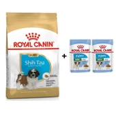 Royal Canin Shih Tzu Puppy Yavru Köpek Maması 1.5 Kg + 2 Adet Yaş Mama Hediye - 1