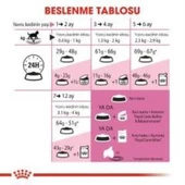 Royal Canin Kitten Yavru Kuru Kedi Maması 4 Kg + 2 Adet Yaş Mama Hediye thumbnail 5