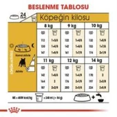 Royal Canin French Bulldog Yetişkin Köpek Maması 3 kg + 2 Adet Yaş Mama Hediye - 6