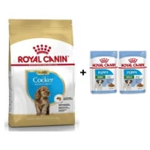 Royal Canin Cocker Junior Yavru Köpek Maması 3 kg + 2 Adet Yaş Mama Hediye - 1