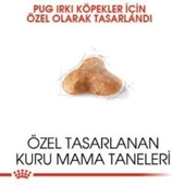 Royal Canin Pug  Irkı Özel Köpek Maması 1,5 kg + 2 Adet Yaş Mama Hediye - 3