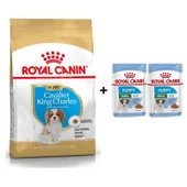 Royal Canin Cavalier King Charles Yavru köpek Maması 1,5 kg + 2 Adet Yaş Mama Hediye - 1