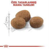 Royal Canin +7 Yaş Üzeri Kısırlaştırılmış Kedi Maması 1,5 Kg + 2 Adet Yaş Mama Hediye - 3
