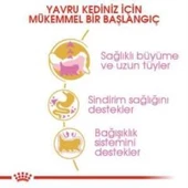 Royal Canin Kitten Persian Yavru Kedi Maması 2 kg + 2 Adet Yaş Mama Hediye thumbnail 5