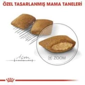Royal Canin Mini Exigent Köpek Maması 3 Kg + 2 Adet Yaş Mama Hediye thumbnail 3