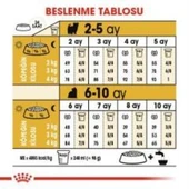 Royal Canin Yorkshire Terrier  Yavru köpek Maması 1,5 kg + 2 Adet Yaş Mama Hediye - 8