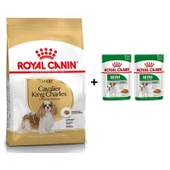 Royal Canin Cavalier King Charles  Yetişkin Köpek Maması 1,5 kg + 2 Adet Yaş Mama Hediye - 1