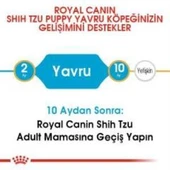 Royal Canin Shih Tzu Puppy Yavru Köpek Maması 1.5 Kg + 2 Adet Yaş Mama Hediye - 6