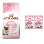 Royal Canin Mother BabyCat  Yavru Kuru Kedi Maması 2 Kg + 2 Adet Yaş Mama Hediye - 1