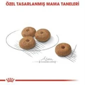 Royal Canin Mini Sterilised Kısır Köpek Maması 3 Kg + 2 Adet Yaş Mama Hediye - 3